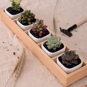 Húsos virág Vas Kerámia Virágcserép fadoboz Pozsgás növény virágcserep állvány ültető Bonsai cserép 5 rács