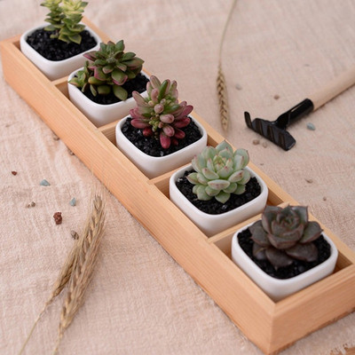 Húsos virág Vas Kerámia Virágcserép fadoboz Pozsgás növény virágcserep állvány ültető Bonsai cserép 5 rács
