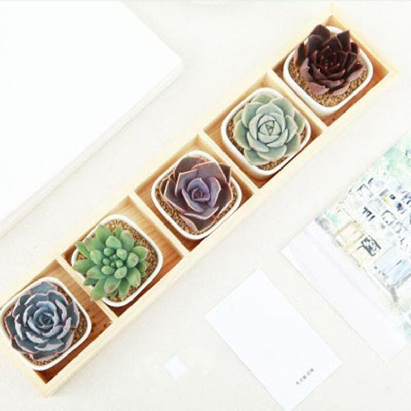 Húsos virág Vas Kerámia Virágcserép fadoboz Pozsgás növény virágcserep állvány ültető Bonsai cserép 5 rács