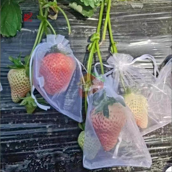 50PCS Чанти за защита на грозде, плодове, градински мрежести торби, селскостопански овощни градини, контрол на вредителите, торбички за отглеждане на птици, зеленчуци, ягоди