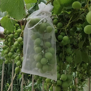 50 ΤΕΜ Σακουλάκια προστασίας φρούτων σταφυλιών Τσάντες από πλέγμα κήπου Τσάντες από πλέγμα κήπου Γεωργικός οπωρώνας Καταπολέμηση παρασίτων κατά των πτηνών Σάκοι φυτικής καλλιέργειας φράουλας