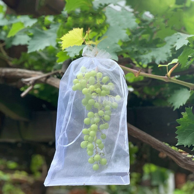 50 vnt vynuogių vaisių apsauginiai maišeliai sodo tinkliniai krepšiai žemės ūkio sodo kenkėjų kontrolei kovos su paukščiais daržovių ir braškių auginimo maišeliai
