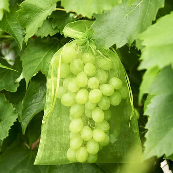 100 τμχ Garden Anti-Bird Vegetable Fruit Grow Bag Plants Protection Bag Anti Bird String Net Protectable Mesh bag #20