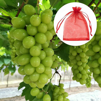 100 τεμ. σακούλες προστασίας φρούτων σταφυλιών κατά των εντόμων Anti Bird Garden String Net Τσάντα Συσκευασία δώρου καραμέλα