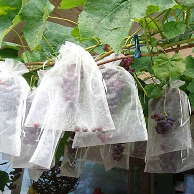 100 bucăți saci de protecție pentru fructe de struguri împotriva insectelor, grădina anti-păsări, pungă de plasă cu șnur, ambalaj pentru cadouri de bomboane