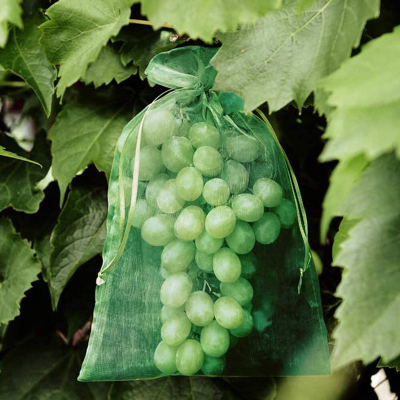 100 bucăți saci de protecție pentru fructe de struguri împotriva insectelor, grădina anti-păsări, pungă de plasă cu șnur, ambalaj pentru cadouri de bomboane