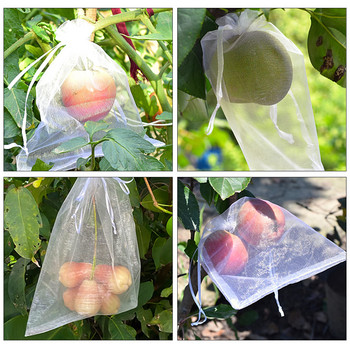 50/100 τμχ Grapes Grow Bags Δίχτυ προστασίας φυτών φρούτων για δώρο λαχανικών φράουλα Τσάντες οργάντζας Εργαλεία κήπου κατά των πτηνών