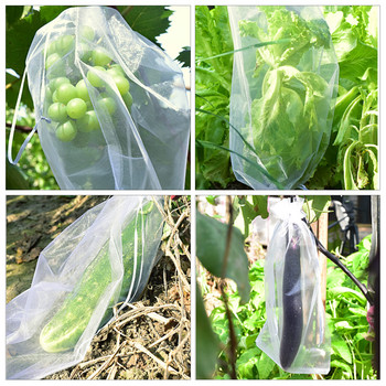 50/100 τμχ Grapes Grow Bags Δίχτυ προστασίας φυτών φρούτων για δώρο λαχανικών φράουλα Τσάντες οργάντζας Εργαλεία κήπου κατά των πτηνών