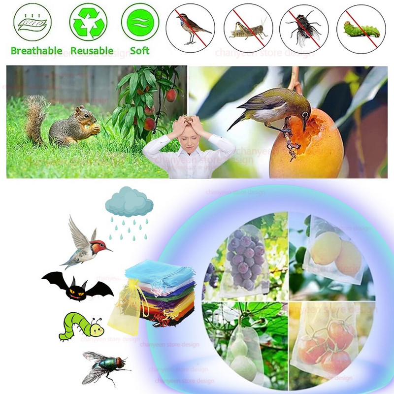 50/100 kom Grožđe Vrećice za uzgoj Voće Mrežasta mreža za zaštitu biljaka za jagode Povrće Poklon Organza vrećice Vrtni alat protiv ptica