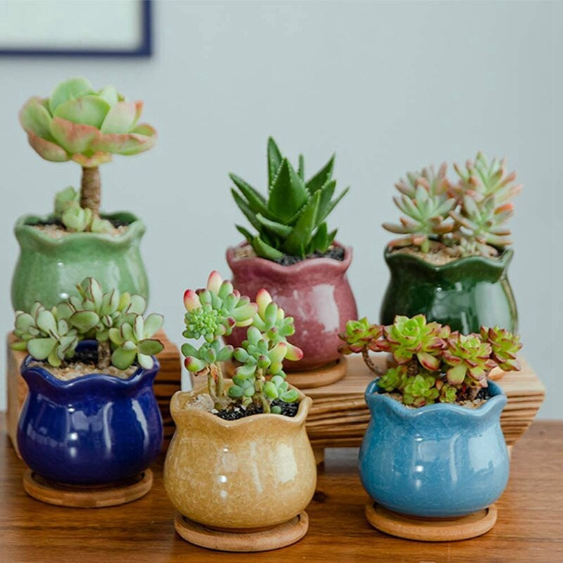 20 pakelių bambukinių augalų lėkščių – 3,34 colio apvalių augalų sultingų gėlių vazonų padėklas, skirtas augalų gėlių vazonams laikyti ir nusausinti