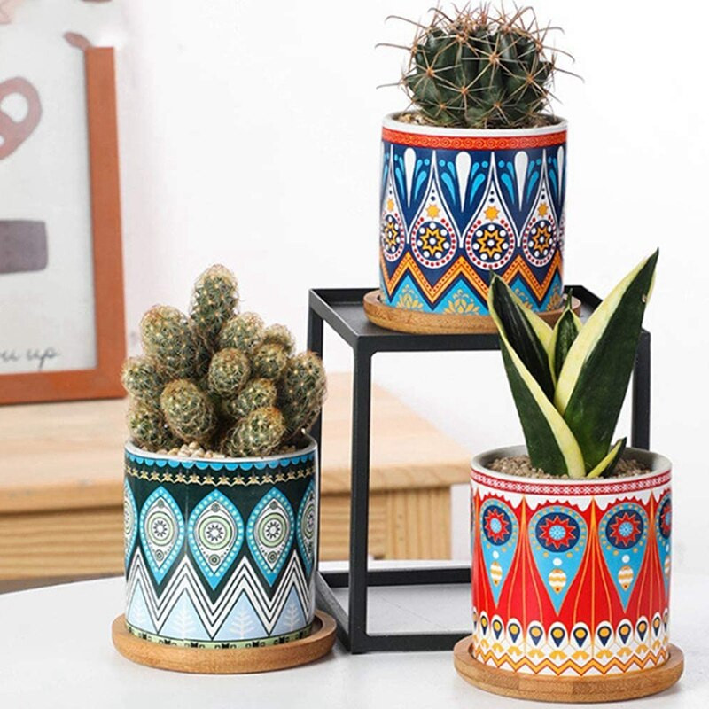 20 pakelių bambukinių augalų lėkščių – 3,34 colio apvalių augalų sultingų gėlių vazonų padėklas, skirtas augalų gėlių vazonams laikyti ir nusausinti