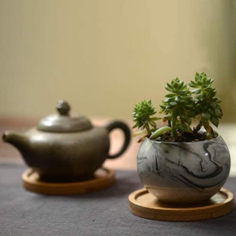 20 pakelių bambukinių augalų lėkščių – 3,34 colio apvalių augalų sultingų gėlių vazonų padėklas, skirtas augalų gėlių vazonams laikyti ir nusausinti