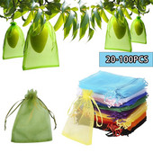 20-100 Vnt Daržovių Vynuogės Vaisių auginimo Krepšiai Vaisių apsaugos maišeliai Sodo nuo paukščių tinklelio tinklinis krepšys Sodo braškių augalų maišeliai