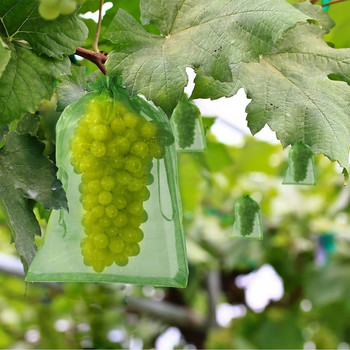 50 τμχ Τσάντα προστασίας σταφυλιού Τσάντα σκληρής γάζας με κορδόνι που αποτρέπει τα έντομα Φρούτα κήπου στο σπίτι Πράσινη τσάντα καλλιέργειας Bolsa De Cultivo
