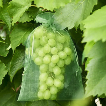 50 τμχ Τσάντα προστασίας σταφυλιού Τσάντα σκληρής γάζας με κορδόνι που αποτρέπει τα έντομα Φρούτα κήπου στο σπίτι Πράσινη τσάντα καλλιέργειας Bolsa De Cultivo