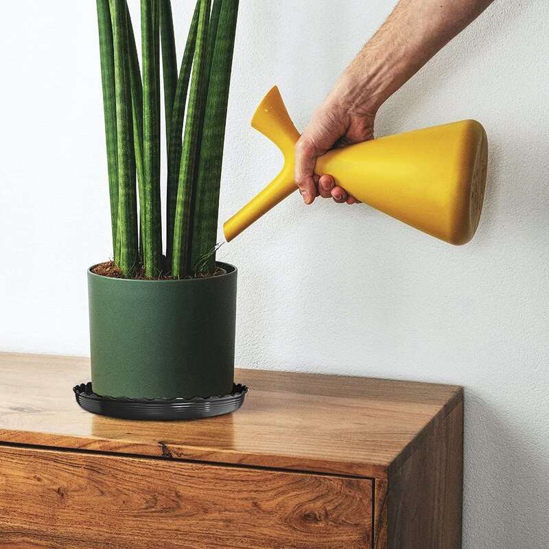 Geriausia augalų lėkštė, 6 pakelių plastikiniai augalų padėklai, augalų vandens surinkimo padėklas, gėlių vazonų lėkštė, skirta viduje ir lauke, juoda