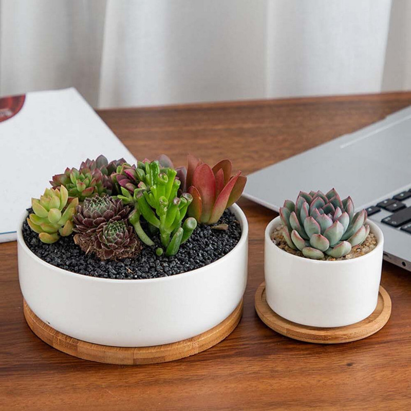 Ghiveci Suculente Suculente Suport Bonsai Rechizite pentru grădinărit Baza pentru ghiveci Rotund Patrat Tava din lemn de bambus Hexagon dreptunghi