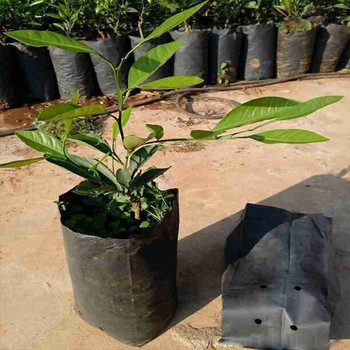 100 τμχ PE Πλαστικές τσάντες φυτωρίου Τσάντες φυτών ανάπτυξης σπορόφυτα λαχανικά κήπου για φρούτα τρύπες αναπνεύσιμα λουλούδια με γλάστρες X8Y1