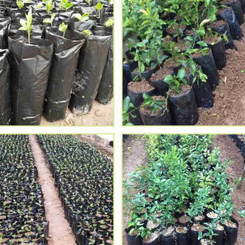 100 τμχ PE Πλαστικές τσάντες φυτωρίου Τσάντες φυτών ανάπτυξης σπορόφυτα λαχανικά κήπου για φρούτα τρύπες αναπνεύσιμα λουλούδια με γλάστρες X8Y1