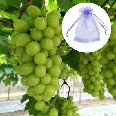 100db Kerti Madárellenes Zöldség Szőlő Gyümölcstermesztő táska Növényvédő táska húzózsinór háló növényvédő géz hálós táska