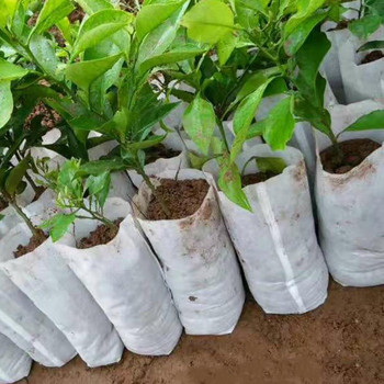 100 τμχ/σετ Πρακτική τσάντα κηπουρικής αποικοδομήσιμη τσάντα φύτευσης μεγάλης χωρητικότητας Ορθογώνια υφασμάτινη γλάστρα Προμήθειες κήπου τσάντα καλλιέργειας