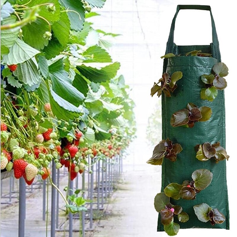 Sac de cultivare agățat Ghive de jardinier de flori de căpșuni Ghive de plantat de legume de grădină verticală Accesorii de grădină de interior în aer liber