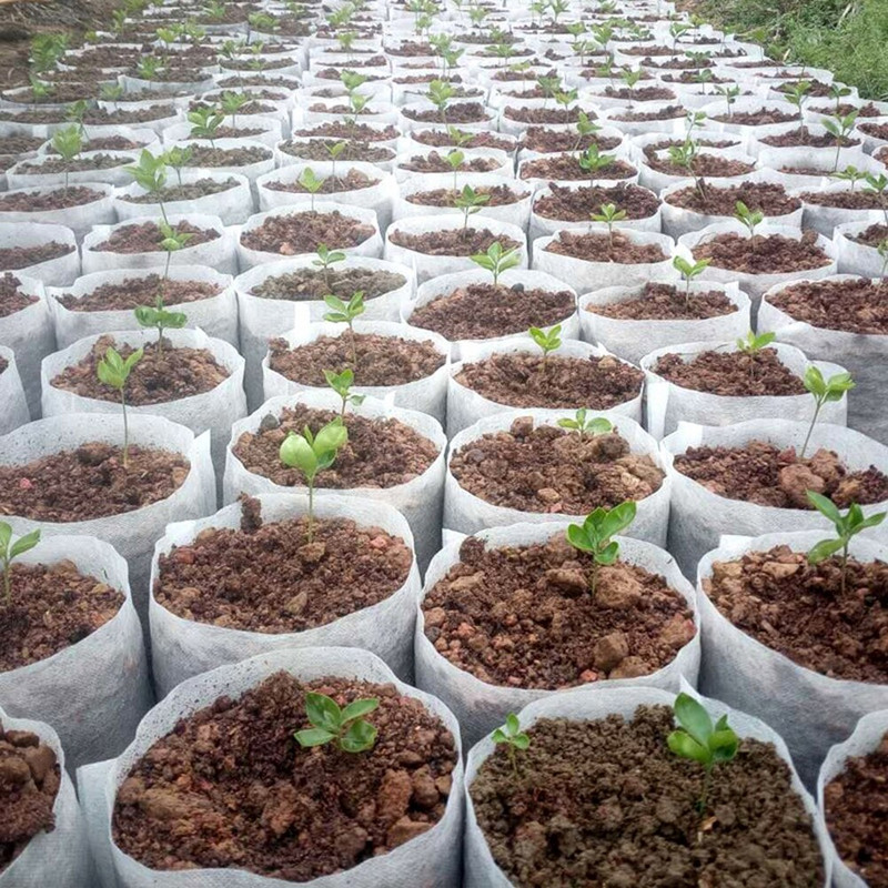 100db Biológiailag lebomló, nem szőtt szövetből készült faiskolai növénytermesztő táskák, palántacsírázó termesztő ültetőgép ültető cserepek zsák