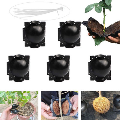 Συσκευή ριζοβολίας φυτών επαναχρησιμοποιήσιμης 5 τμχ. Συσκευή ριζοβολίας φυτών Botan Rooting Grow Box Συσκευή εμβολιασμού με σφαίρα πολλαπλασιασμού υψηλής πίεσης Ελεγκτής ρίζας βοτανικής