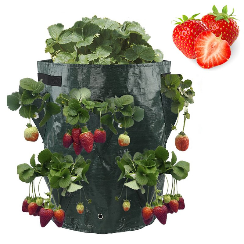 Több zsebes kerti eper ültető táska 5/7/10 gallon burgonya paradicsom termesztő táskák gyógynövényekhez Virág Erkélyek Gyümölcsültető