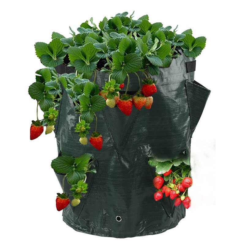 Több zsebes kerti eper ültető táska 5/7/10 gallon burgonya paradicsom termesztő táskák gyógynövényekhez Virág Erkélyek Gyümölcsültető