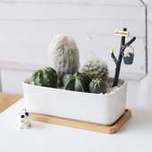 Mini zamatos, egyszerű, elegáns kialakítású téglalap ültetőgép bambusz tálca növényi kertészeti kellékek otthoni erkély virágcserép állvány kedvence