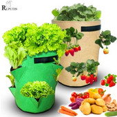 Új 5/7/10 gallon eper ültető táska Otthoni Kerti szerszámok Burgonya zöldség Jardin palántatermesztő zsákok Kerek filc virágültető