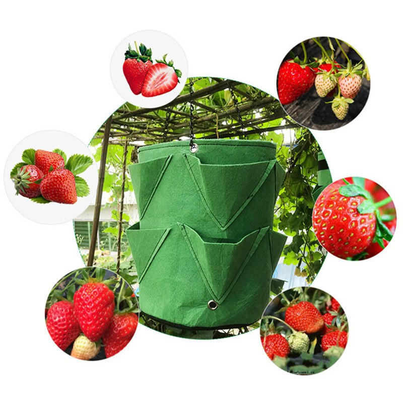 Új 5/7/10 gallon eper ültető táska Otthoni Kerti szerszámok Burgonya zöldség Jardin palántatermesztő zsákok Kerek filc virágültető
