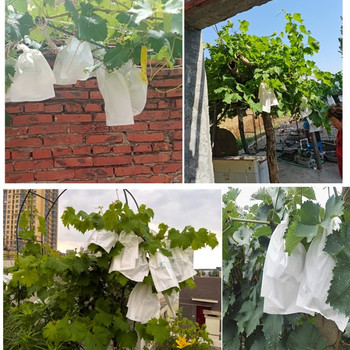 100 τμχ Grape Paper Protection Grow Bags for Fruit Lashary Grapes Αδιάβροχα Pest Control Anti-bird outdoor planting