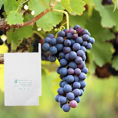 100 τμχ Grape Paper Protection Grow Bags for Fruit Lashary Grapes Αδιάβροχα Pest Control Anti-bird outdoor planting