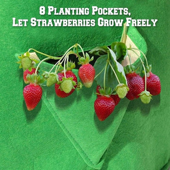 Τσάντα καλλιέργειας πολλαπλών θυρών 5/7/10 γαλόνι Strawberry Tomato Grow Bag Επαναχρησιμοποιήσιμη μη υφασμένη κρεμαστή τσάντα καλλιέργειας για καλλιεργούμενα φυτά