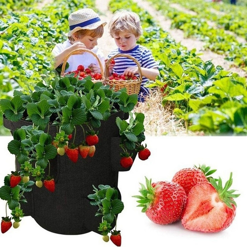 Multi-Port termesztőtáska 5/7/10 gallon eper paradicsom termesztő táska, újrafelhasználható nem szőtt függő táska kultúrnövényekhez