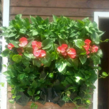Τσάντα φυτευτή τοίχου 9 τσέπες Κάθετη κρεμαστή τσάντα ζαρντινιέρας τοίχου Growbag Φρούτα λουλούδια διακόσμηση κήπου Τσάντες καλλιέργειας