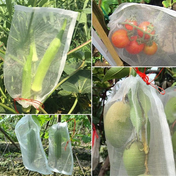 50 τμχ 3 Μέγεθος Λευκό φυτό Fruit Protect Δίχτυ με κορδόνι Δίχτυ Τσάντα Κήπου Κάλυμμα φυτού Θερμοκηπίου Προστασία φρούτων Αξεσουάρ κήπου