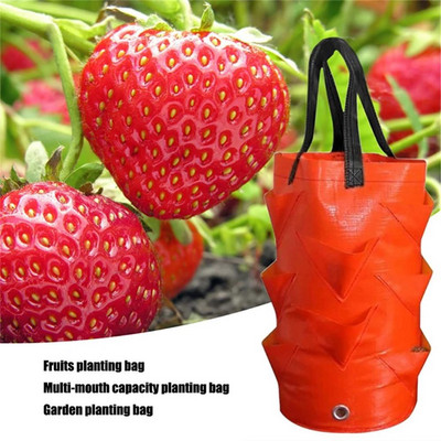 3 γαλόνια Strawberry Tomato Grow Bag Garden Wall Hanging Planter Pot Pot Multi-Mouth planting bags Εργαλεία φύτευσης λαχανικών