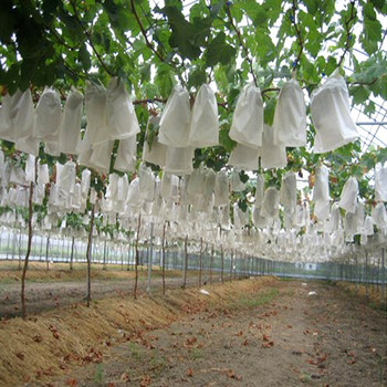 100 τμχ Τσάντες με δίχτυα σταφυλιού Σακούλα με κάλυμμα φρούτων κήπου Διχτυωτό κάλυμμα για φρούτα λαχανικά σταφύλια πουγκί αδιάβροχες σακούλες σταφυλιού