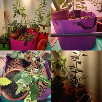 5/10 ΤΕΜ 15 Χρώματα 1-20 γαλόνι Garden Grow Bags Flower Vegetable Aeration Planting Pot Container Planter Pouch with Handles