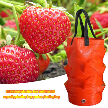 3 γαλόνια Planter Grow Bags Τσάντες φυτεύματος φράουλας Πρακτικές γλάστρες Κρεμαστά τσάντα καλλιέργειας κήπου για τον κήπο του σπιτιού