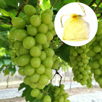 100 τμχ Σακούλα λαχανικών Fruit Grow Διχτυωτή Τσάντα Φυτά Προστασία Τσάντες Κηπουρικής Δίχτυ κορδονιών Καραμέλα Μήλο πουγκί σταφύλι 18x13cm#20