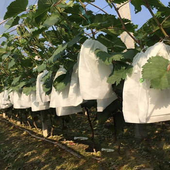 100 τμχ Τσάντες προστασίας σταφυλιού για φρούτα λαχανικά, σταφύλια, αδιάβροχη και αδιάβροχη ειδική τσάντα φρούτων 2020