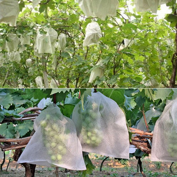100Pcs Anti-bird Αδιάβροχη αναπνεύσιμη τσάντα προστασίας φρούτων λαχανικών σταφυλιού
