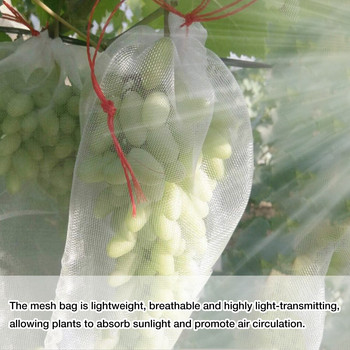 100 τμχ Τσάντες προστασίας φρούτων Nylon Grow τσάντες με δίχτυα με κορδόνι για τον κήπο για την προστασία των φυτών από τα έντομα πουλιά Σκίουροι
