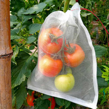 100 τμχ Τσάντες προστασίας φρούτων Nylon Grow τσάντες με δίχτυα με κορδόνι για τον κήπο για την προστασία των φυτών από τα έντομα πουλιά Σκίουροι
