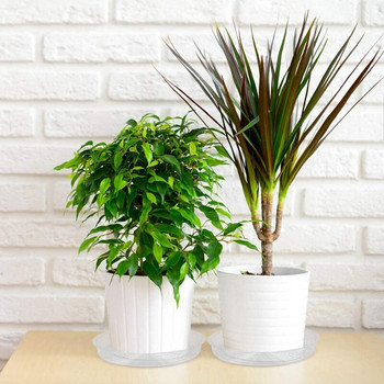 10 τμχ Διαφανές πιατάκι φυτών 8 ιντσών Πλαστικοί δίσκοι σταγόνων για φυτά εσωτερικού και εξωτερικού χώρου για να κρατάτε γλάστρα ζουμερής γλάστρας
