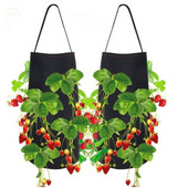 Gėlių daigų sėjamosios augalas braškių pomidorų čili pipirų auginimui Namų sode Veltinio augalo auginimo krepšys medelyno kabantys vazonai